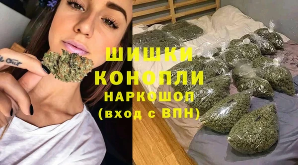 крисы Горно-Алтайск