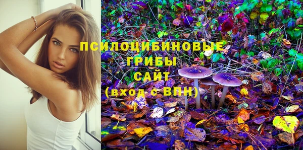 хмурый Горняк