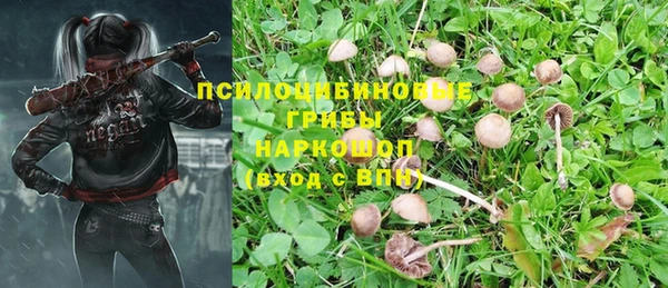 амф Волосово