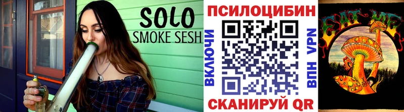 это официальный сайт  Севастополь  Псилоцибиновые грибы Psilocybine cubensis 